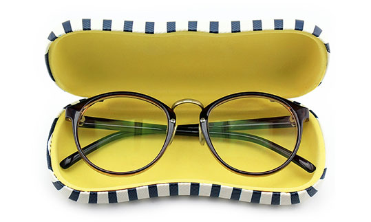 Opticians glasses case